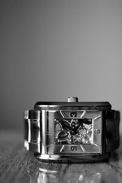 luxury watch (2)